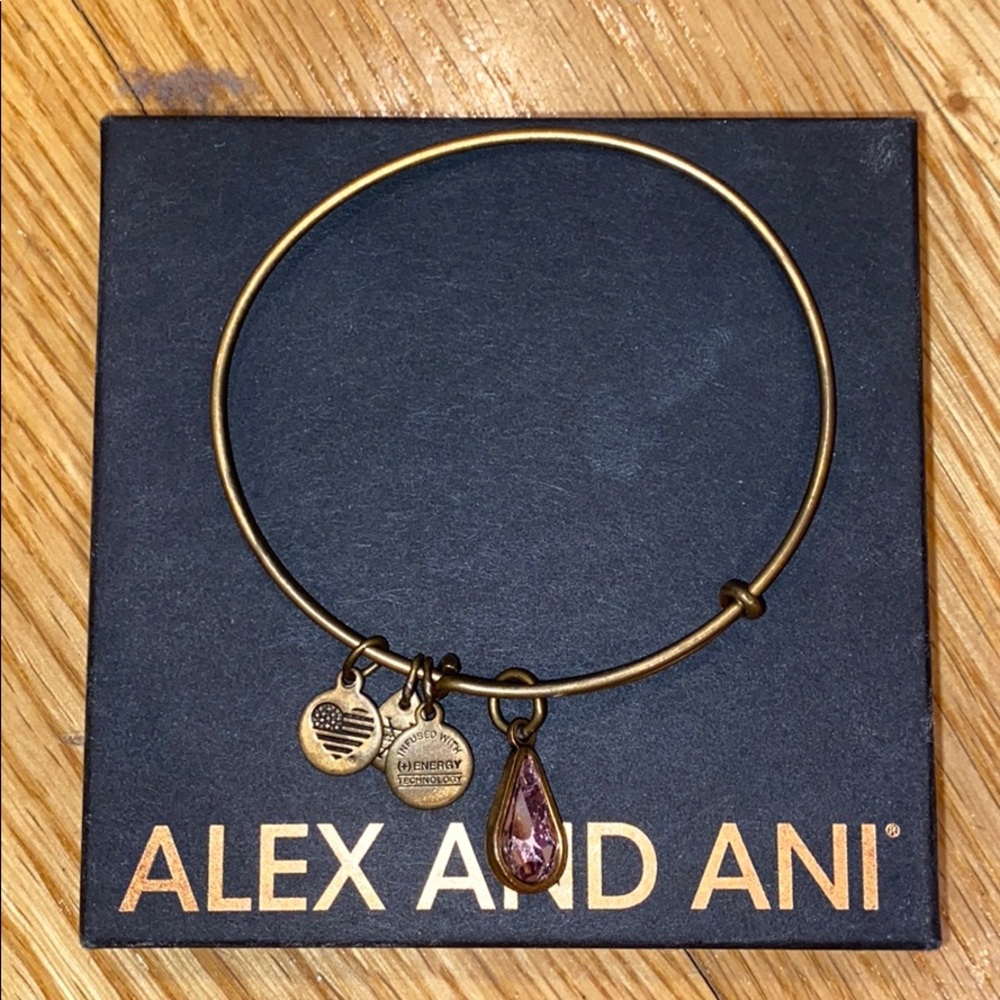 Alex and Ani June Birthstone (Amethyst) Charm